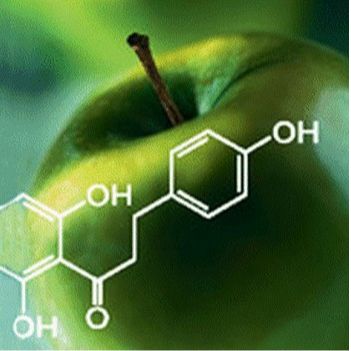 Organic Chemicals