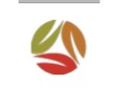 Environmental Earth Sciences